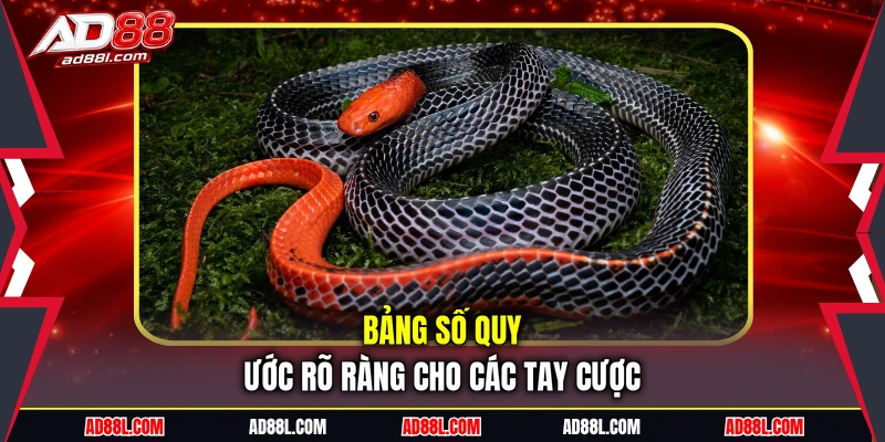 Bảng số quy ước rõ ràng cho các tay cược