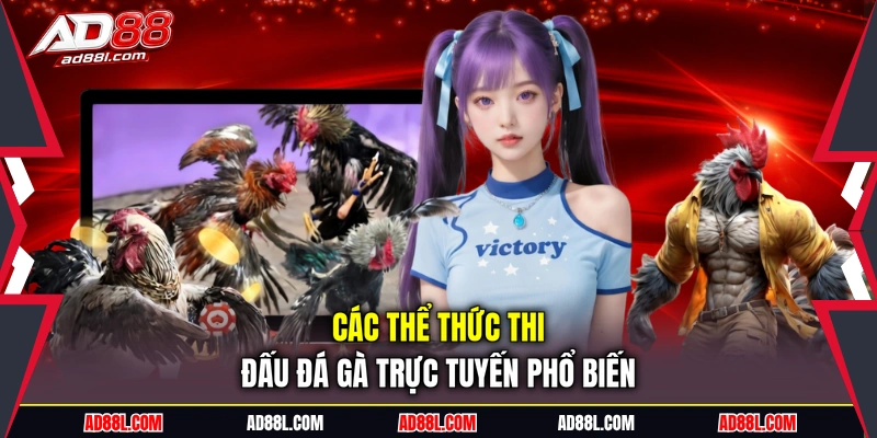 Các thể thức thi đấu đá gà trực tuyến phổ biến