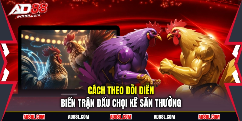 Cách theo dõi diễn biến trận đấu chọi kê săn thưởng