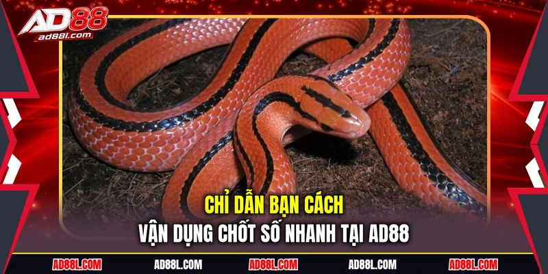 Chỉ dẫn bạn cách vận dụng chốt số nhanh tại AD88