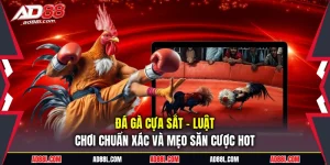 Đá gà cựa sắt