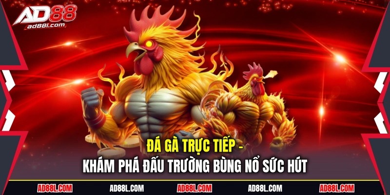 Đá gà trực tiếp