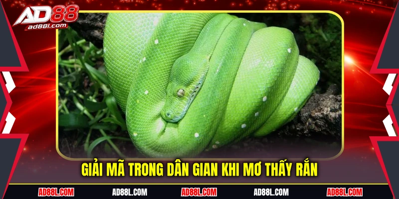 Giải mã trong dân gian khi mơ thấy rắn