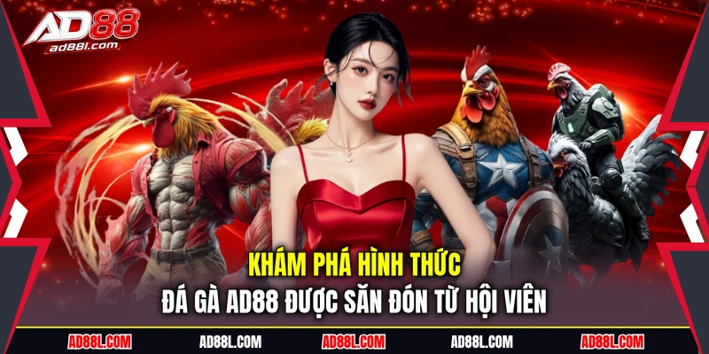 Khám phá hình thức đá gà AD88 được săn đón từ hội viên