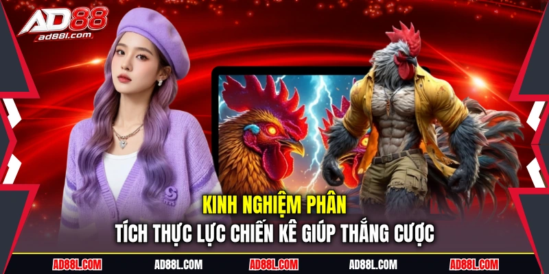 Kinh nghiệm phân tích thực lực chiến kê giúp thắng cược