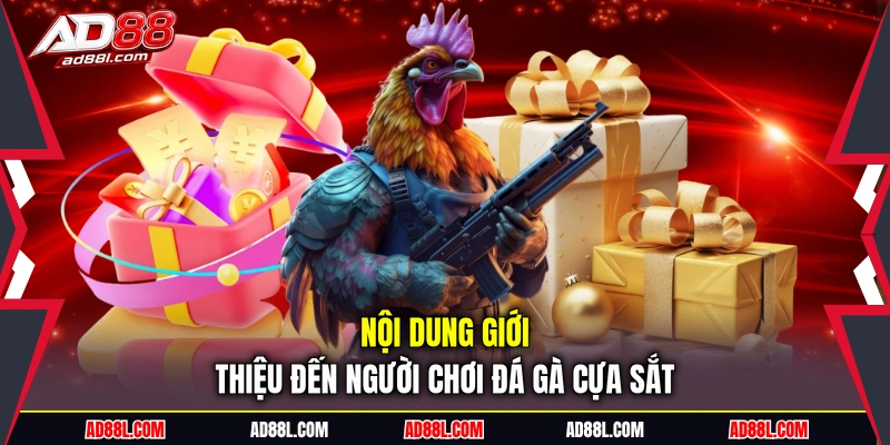 Nội dung giới thiệu đến người chơi đá gà cựa sắt