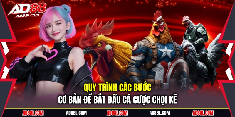 Quy trình các bước cơ bản để bắt đầu cá cược chọi kê