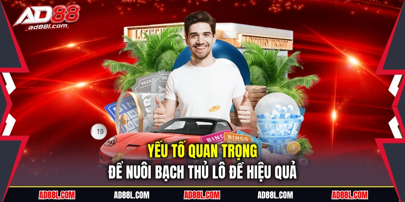 Yếu tố quan trọng để nuôi bạch thủ lô đề hiệu quả